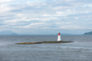 Ladys Rock Light Wall Art by Carol Herbert