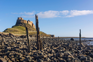 Lindisfarne Wooden Stakes 2 Wall Art
