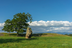 Mayburgh Henge 1 Wall Art by Carol Herbert