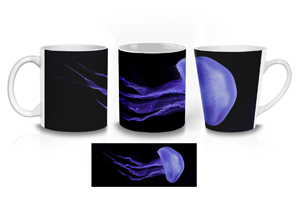 Moon Jellyfish Mug Options