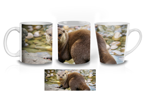 Otter Mug Options
