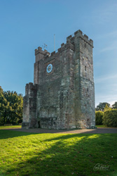 Preston Tower Northumberland Wall Art by Carol Herbert