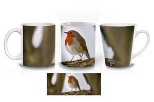 Winter Robin 01 Mug Options