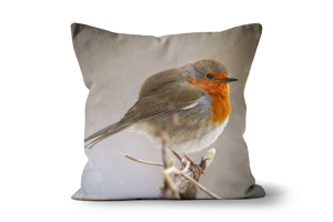 Spring Robin 02 Cushions by Carol Herbert