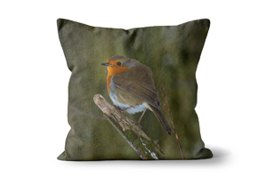 Spring Robin 04 Cushions by Carol Herbert