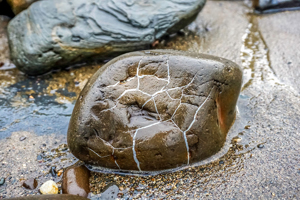 Pebble Map Wall Art by Carol Herbert