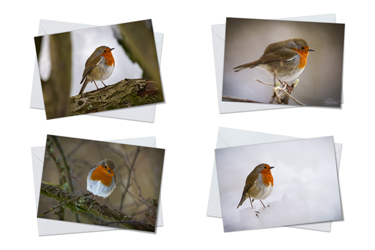 Robins 02 - Greeting Card Packs by Carol Herbert