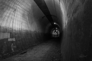 Monochrome Thurgoland Railway Tunnel Wall Art by Carol Herbert