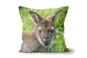 Wallaby Throw Cushion